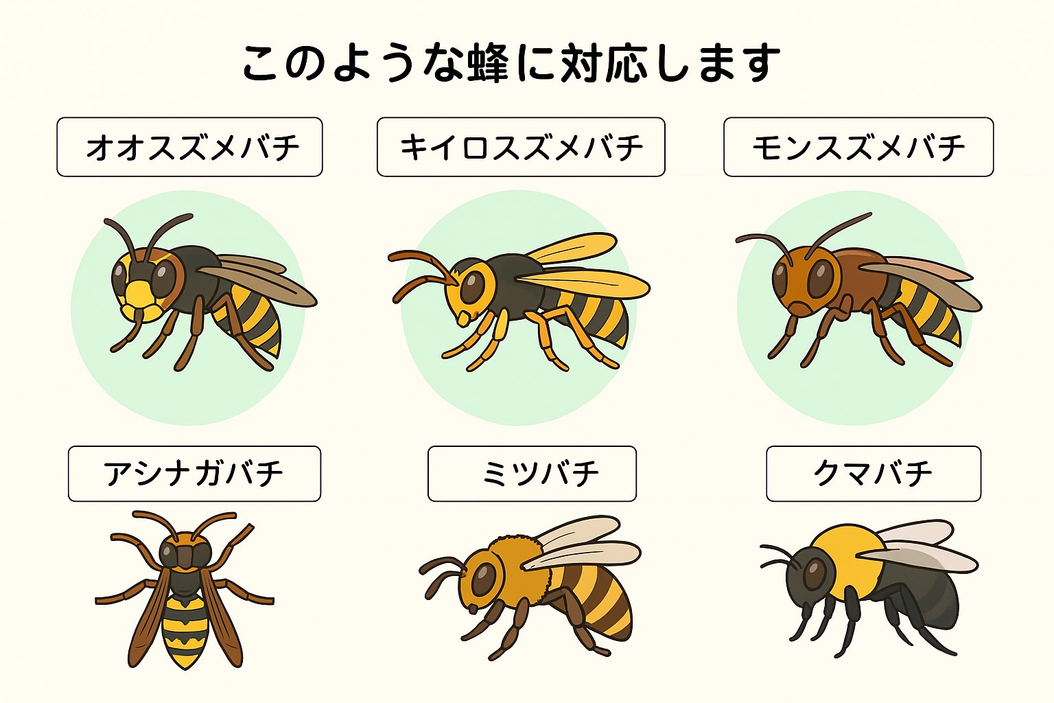 対象の虫や動物